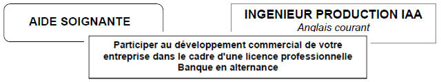 cv-exemples-titre