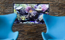 Exemples de lettre de motivation  Objectif Emploi Orientation