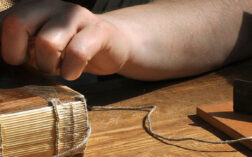 Stage d'observation 3ème Avocat  Objectif Emploi Orientation