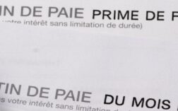 Exemple CV Job étudiant  Objectif Emploi Orientation