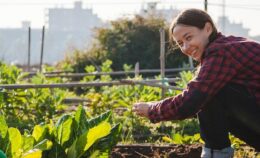 Agriculteur urbain